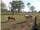 590 Calliope River Road, Calliope QLD 4680