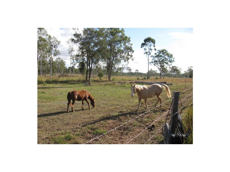 590 Calliope River Road, Calliope QLD 4680