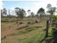 590 Calliope River Road, Calliope QLD 4680