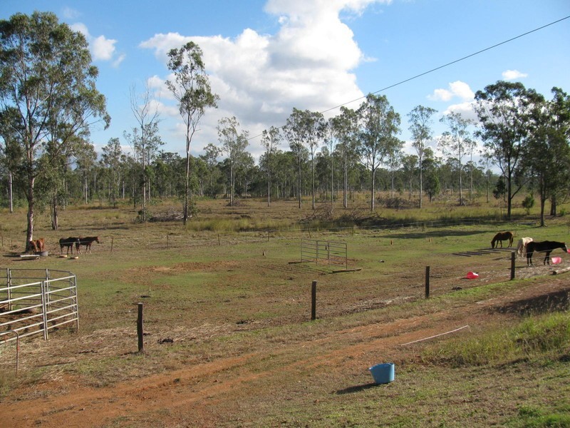 590 Calliope River Road, Calliope QLD 4680