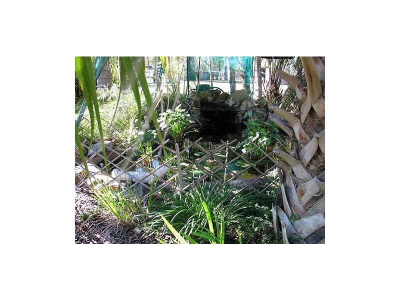 464 Turkey Beach Road, Foreshores QLD 4678