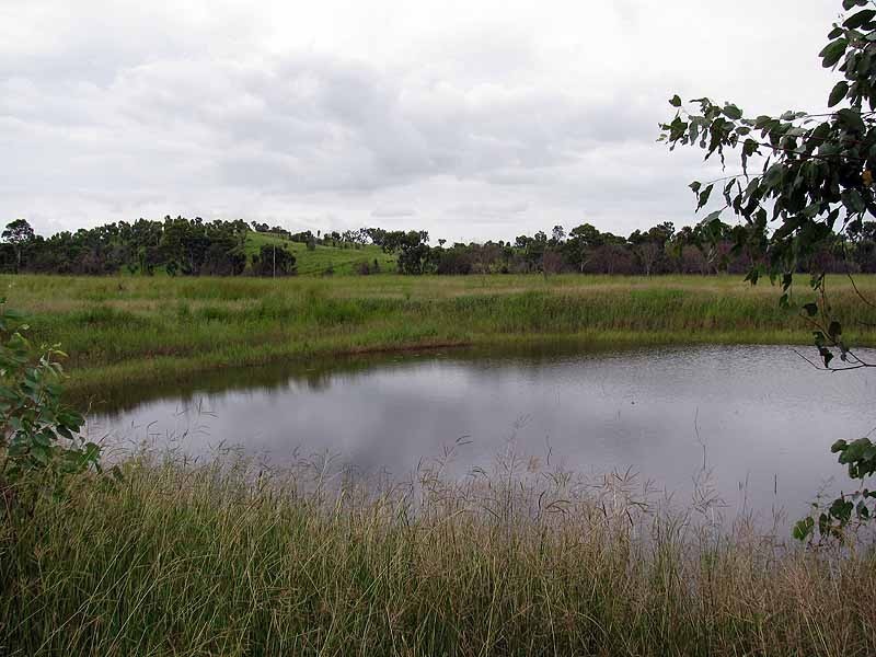 3509 Dawson Highway, Calliope QLD 4680