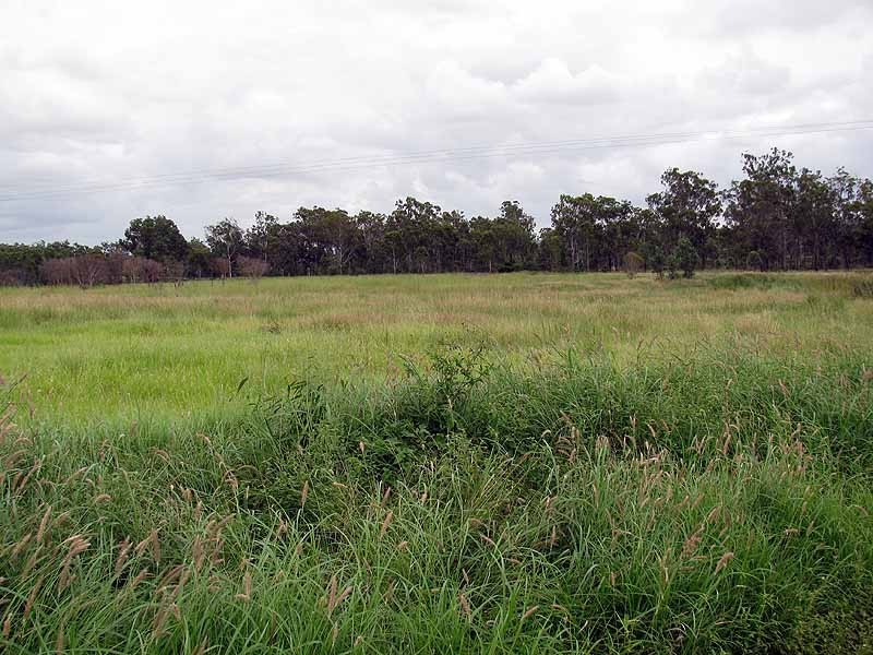 3509 Dawson Highway, Calliope QLD 4680