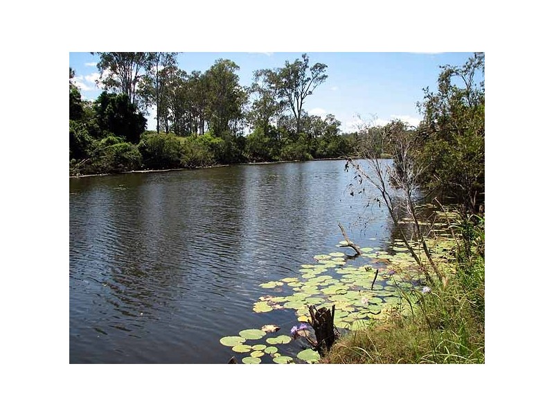 3316 Dawson Highway, Wooderson QLD 4680