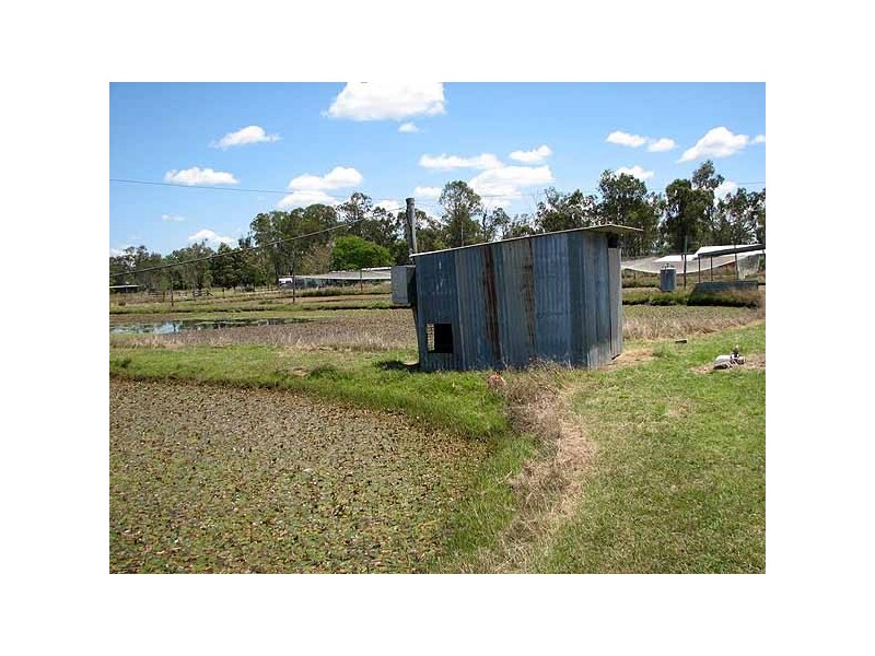 3316 Dawson Highway, Wooderson QLD 4680