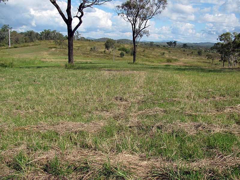 46 Walker Drive, Calliope QLD 4680