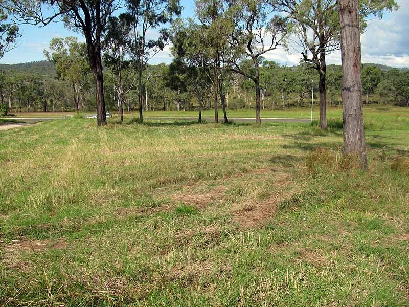 46 Walker Drive, Calliope QLD 4680