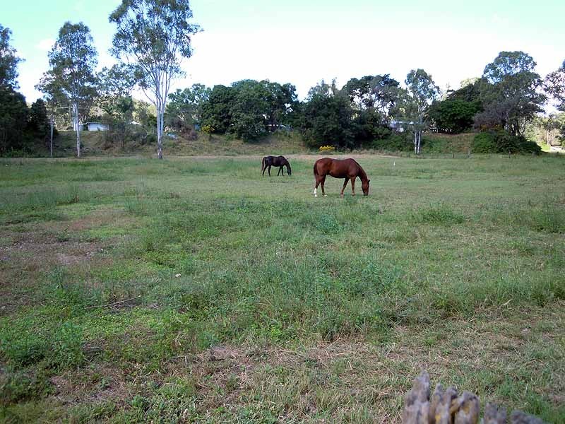 Lot 22 Laird Road, Builyan QLD 4680