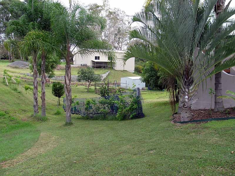 17 Milton Street, Nagoorin QLD 4680