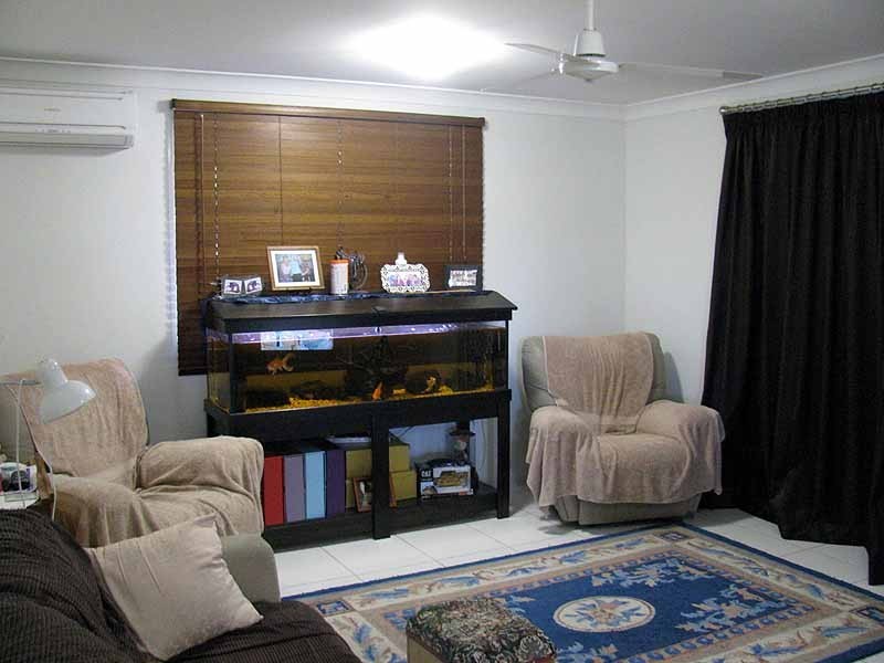 16 Ellis Street, Calliope QLD 4680