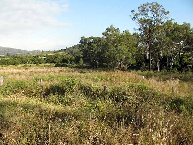 Lot 50 580 Hourigan Creek Road, Raglan QLD 4697