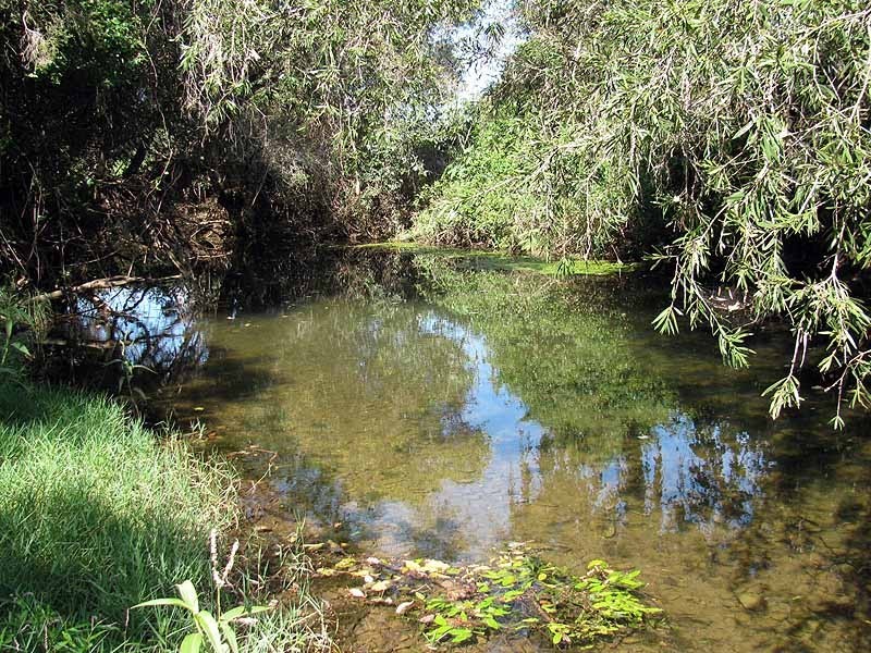 Lot 50 580 Hourigan Creek Road, Raglan QLD 4697