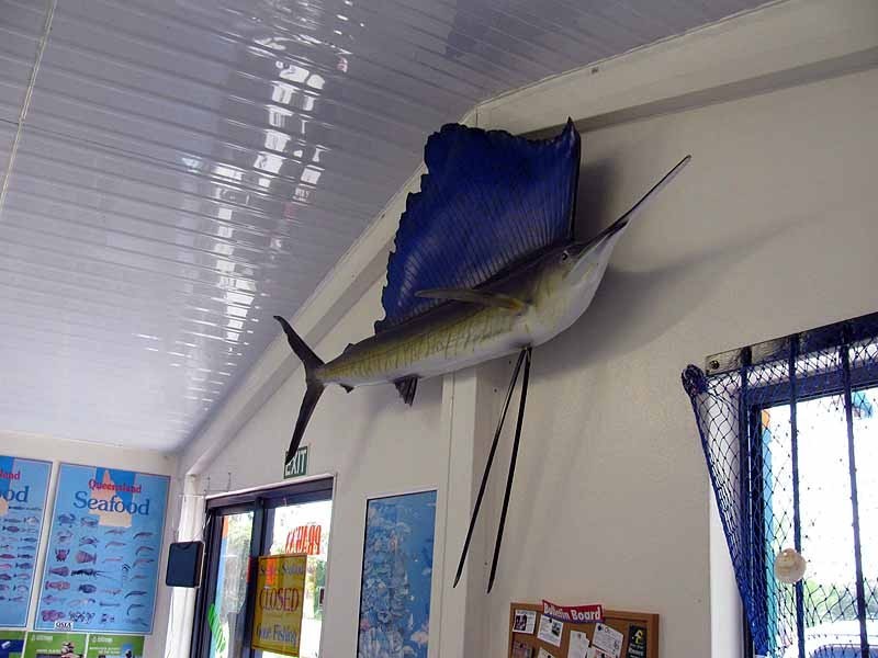 4 Enterprise Street, Boyne Island QLD 4680