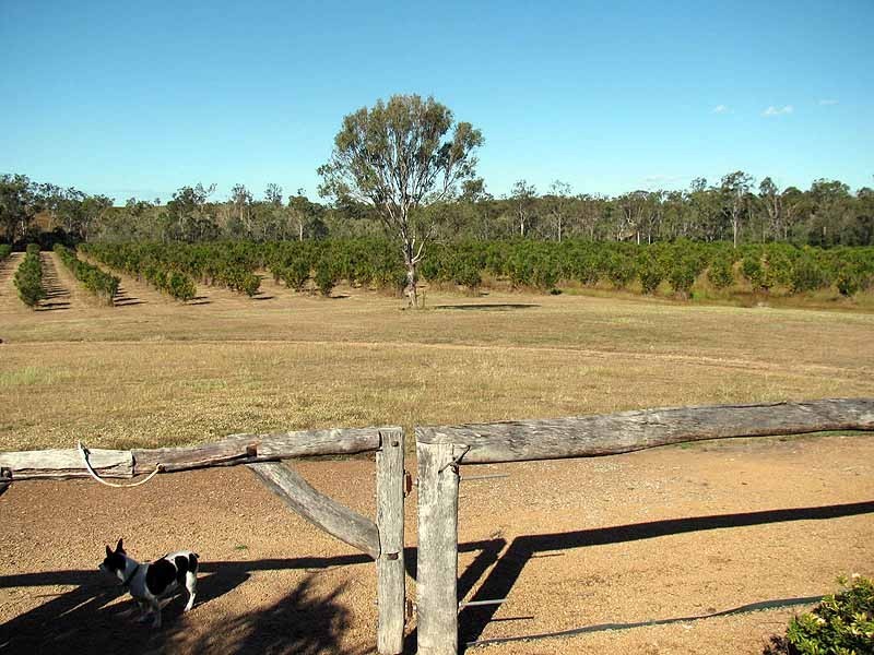 478 Racecourse Raod, Calliope QLD 4680