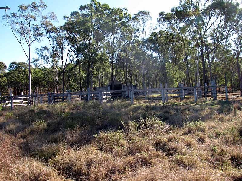 478 Racecourse Raod, Calliope QLD 4680