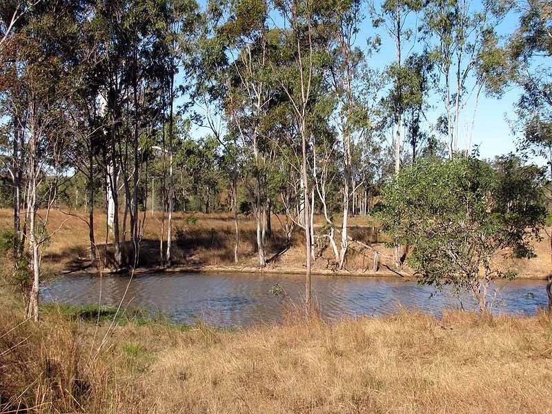 478 Racecourse Raod, Calliope QLD 4680