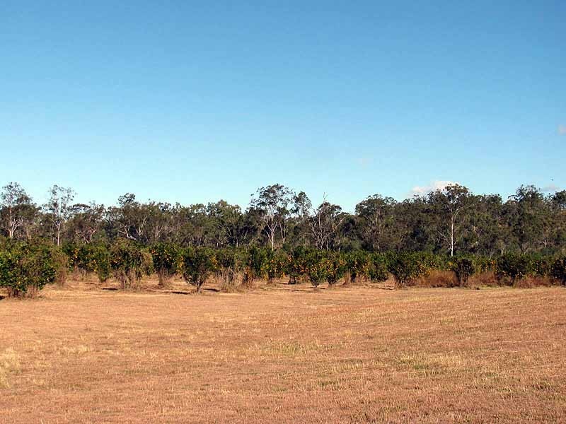 478 Racecourse Raod, Calliope QLD 4680