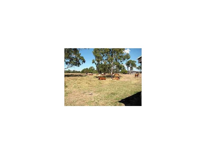 42 Christiansen Road, Raglan QLD 4697