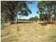 42 Christiansen Road, Raglan QLD 4697