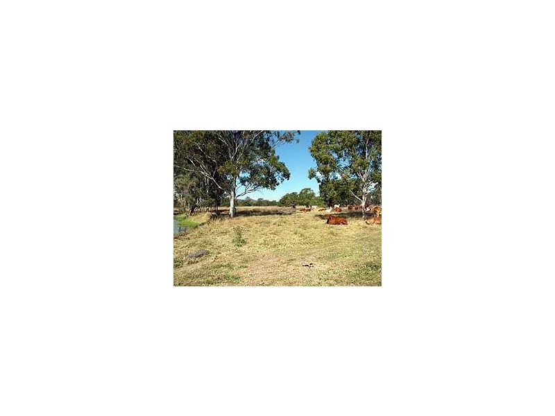 42 Christiansen Road, Raglan QLD 4697