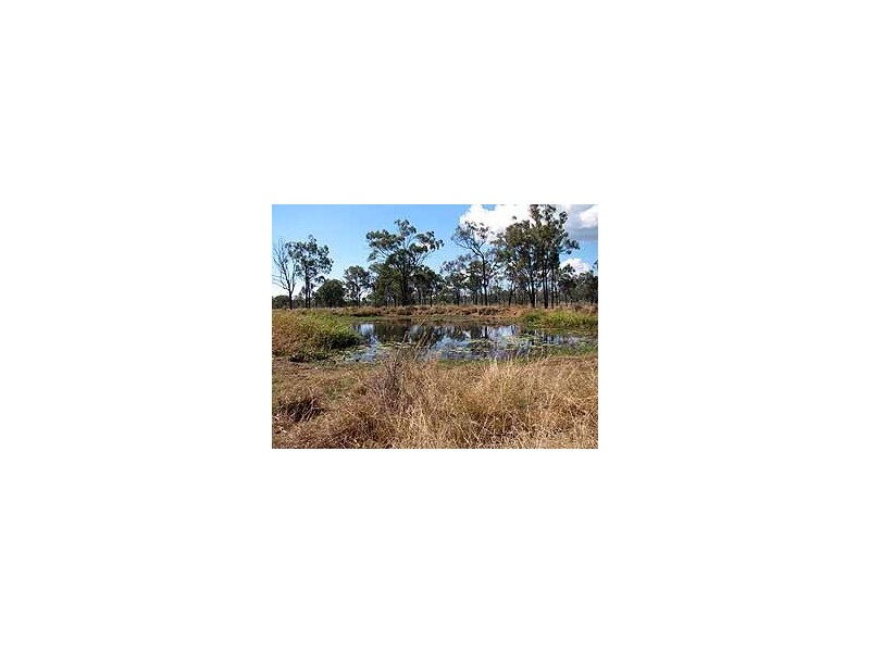 42 Christiansen Road, Raglan QLD 4697