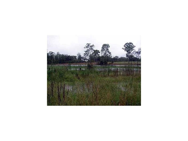 43960 Bruce Highway, Miriam Vale QLD 4677