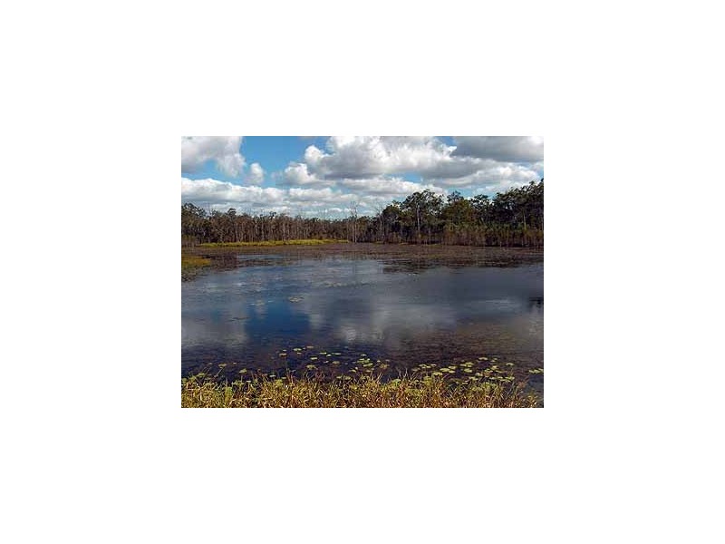 43960 Bruce Highway, Miriam Vale QLD 4677
