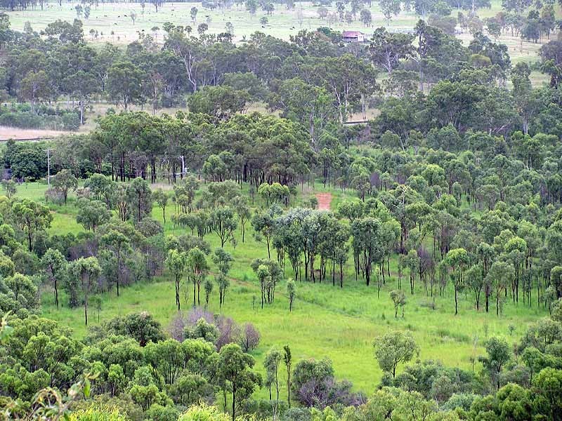 3509 Dawson Highway, Calliope QLD 4680