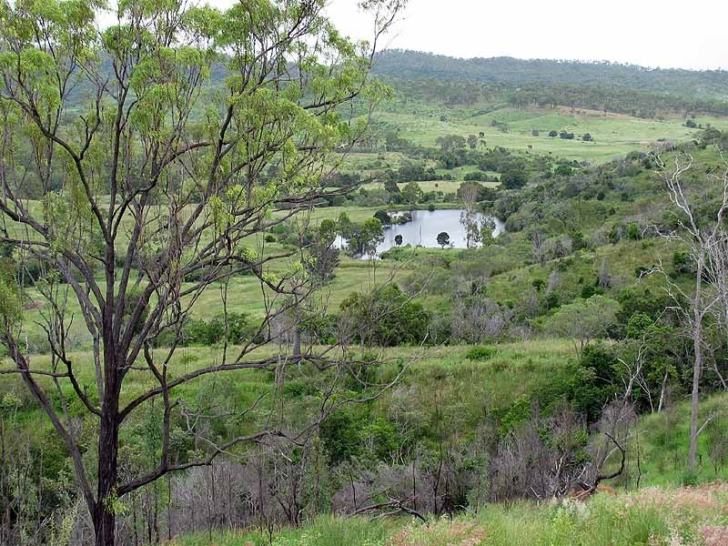 3509 Dawson Highway, Calliope QLD 4680