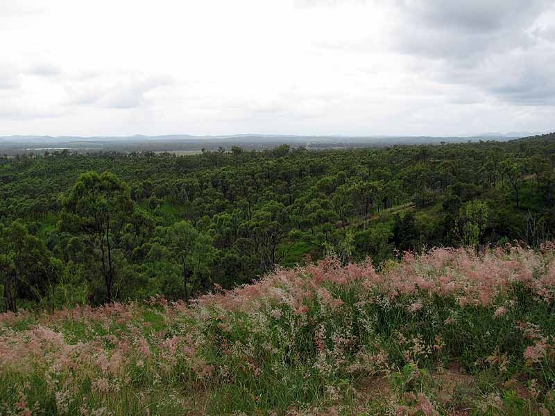 3509 Dawson Highway, Calliope QLD 4680