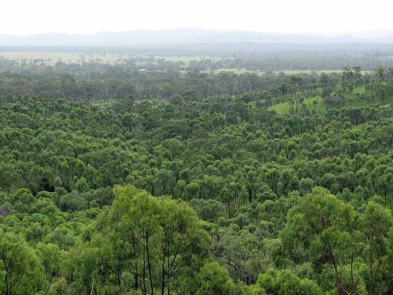 3509 Dawson Highway, Calliope QLD 4680