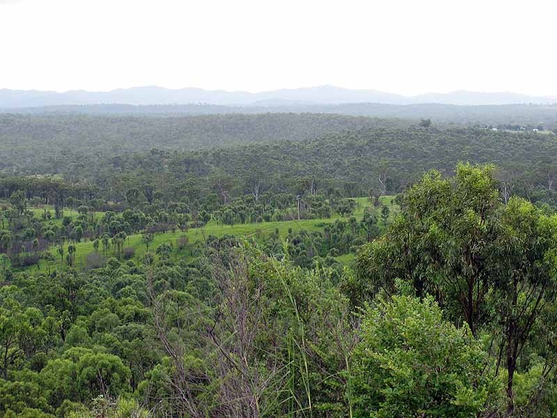 3509 Dawson Highway, Calliope QLD 4680