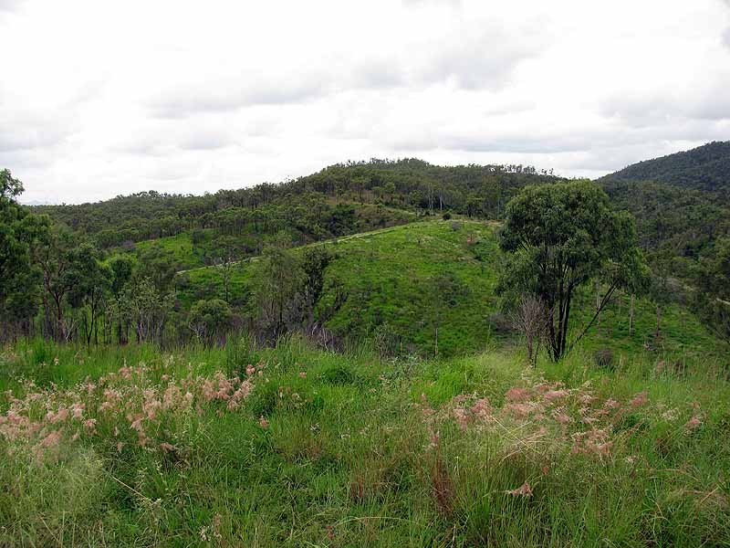 3509 Dawson Highway, Calliope QLD 4680