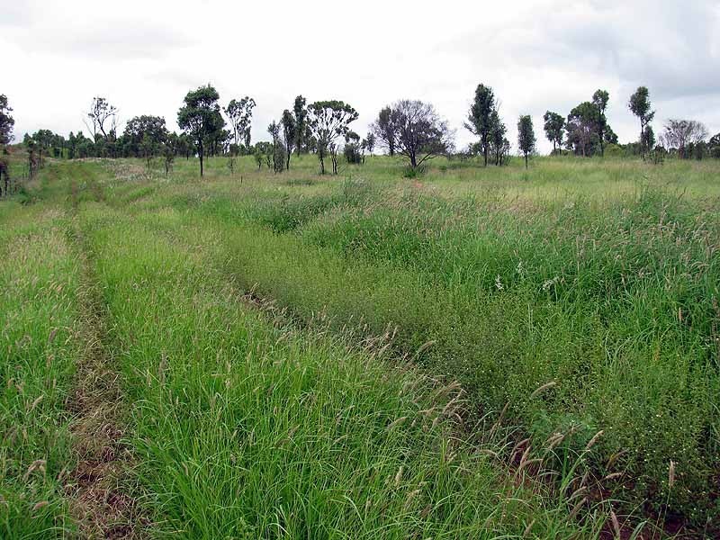 3509 Dawson Highway, Calliope QLD 4680