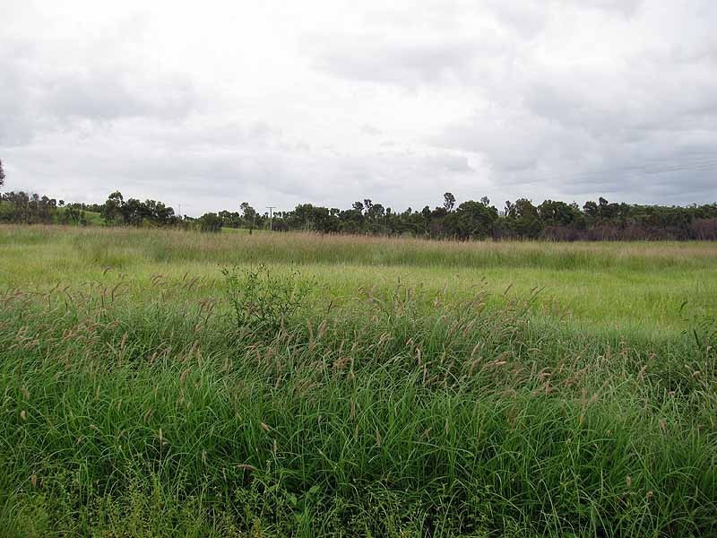 3509 Dawson Highway, Calliope QLD 4680