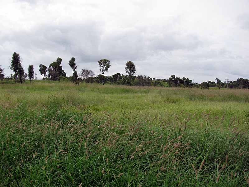 3509 Dawson Highway, Calliope QLD 4680