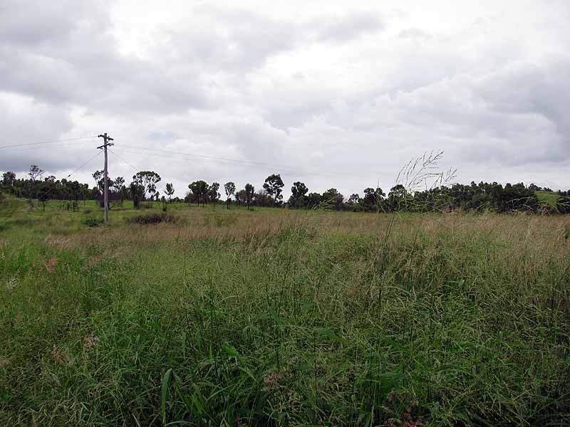 3509 Dawson Highway, Calliope QLD 4680