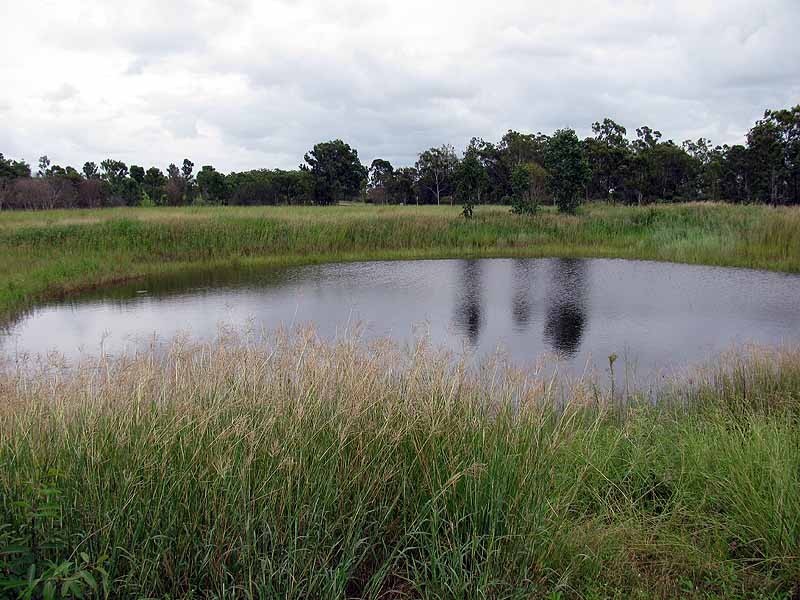 3509 Dawson Highway, Calliope QLD 4680