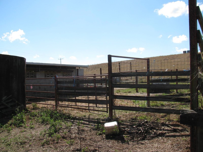 92 Howlett Road, Bracewell QLD 4695