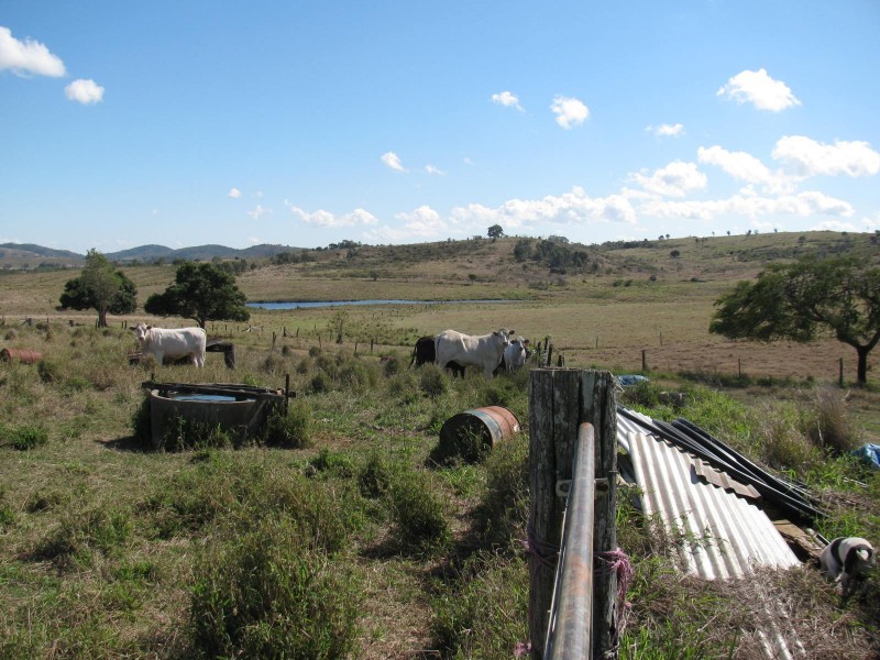 92 Howlett Road, Bracewell QLD 4695