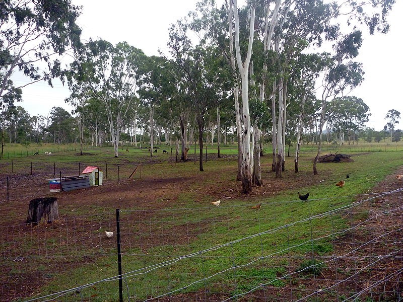 1 Ashley Court, Calliope QLD 4680