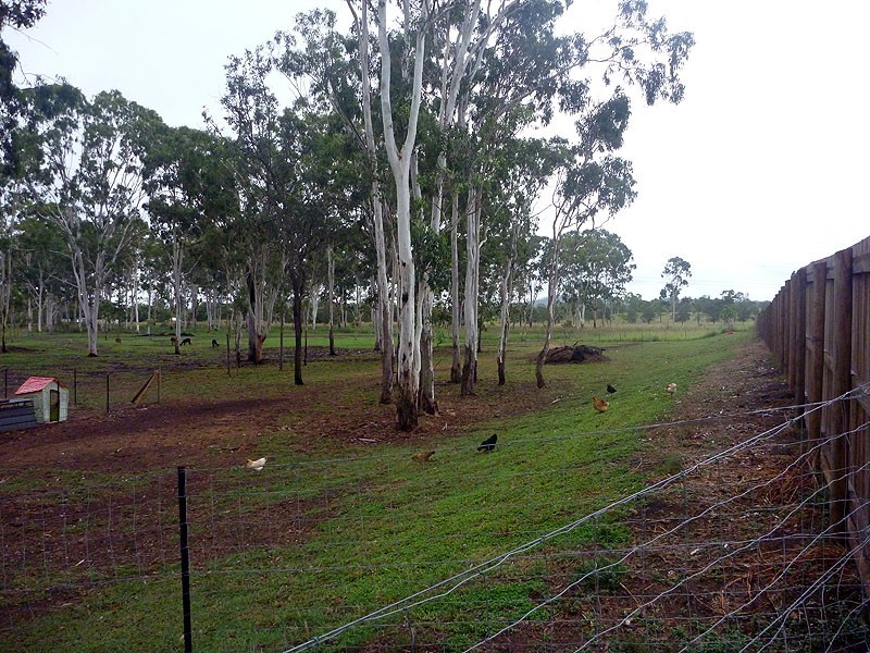 1 Ashley Court, Calliope QLD 4680