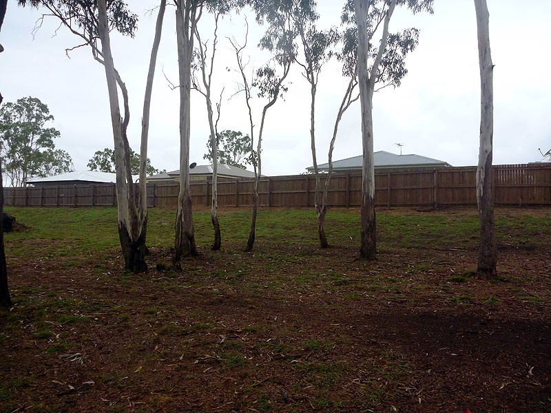 1 Ashley Court, Calliope QLD 4680