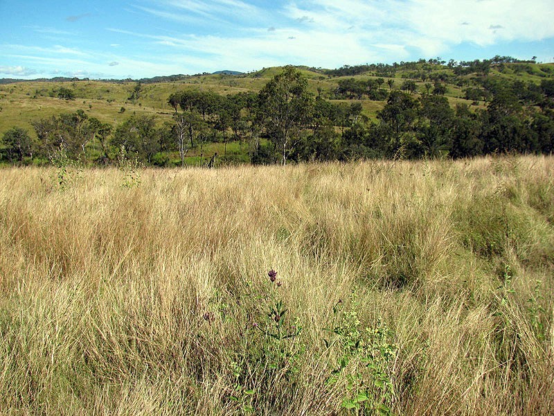 775 Marsh Road, Diglum QLD 4680