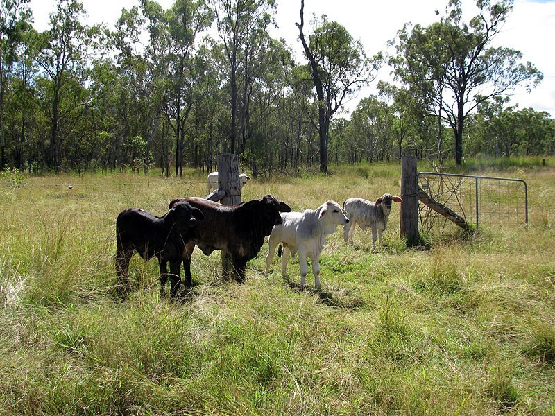 775 Marsh Road, Diglum QLD 4680