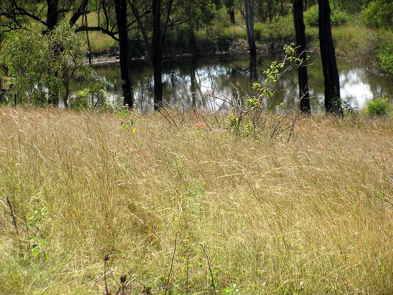 775 Marsh Road, Diglum QLD 4680