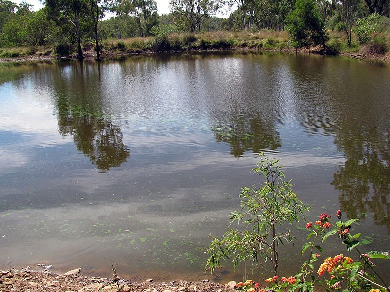 775 Marsh Road, Diglum QLD 4680