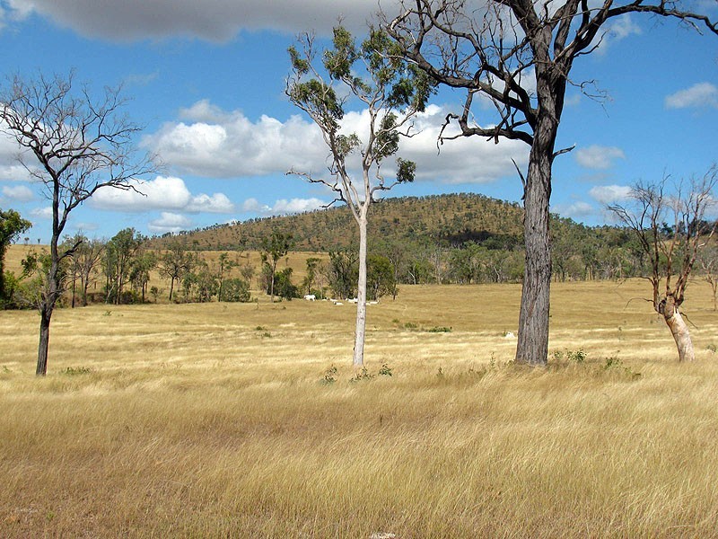 449 Comanche Road, Glenroy QLD 4702