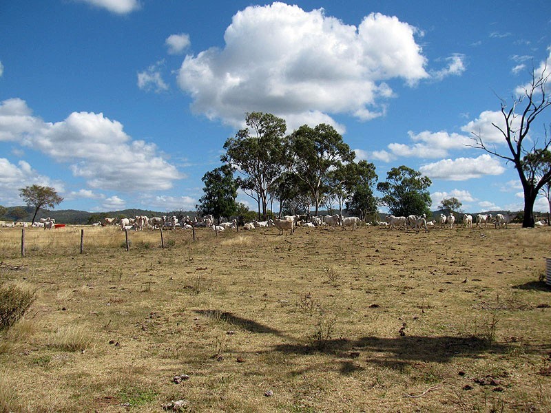 449 Comanche Road, Glenroy QLD 4702