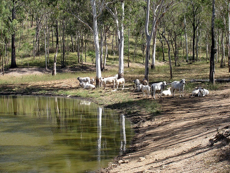 449 Comanche Road, Glenroy QLD 4702